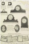 Peacock 1918 03.jpg